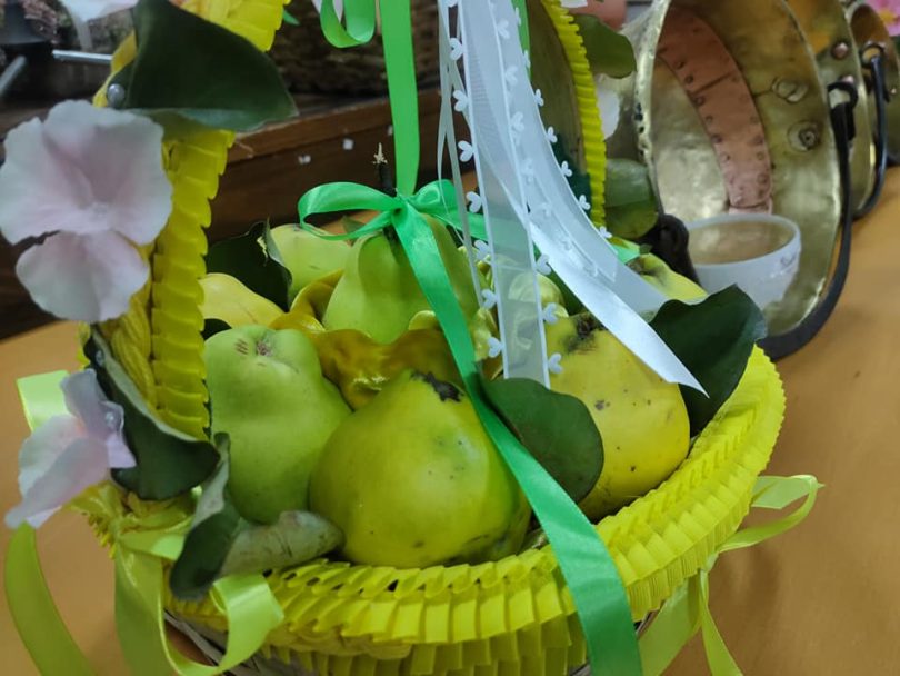 462755551 998276685672176 8867898390629285167 N