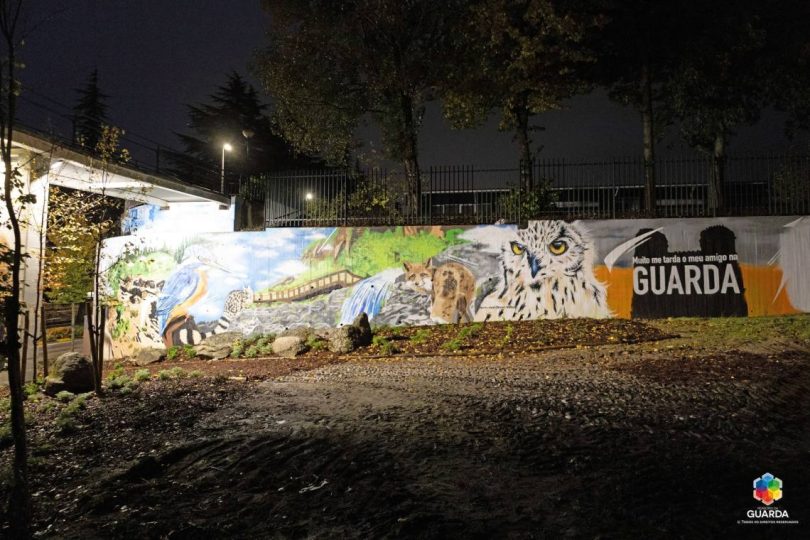 463036836 960633612761564 1744528741310063672 N