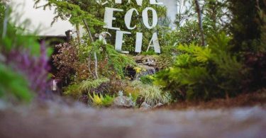 Cineeco 2021 768x576