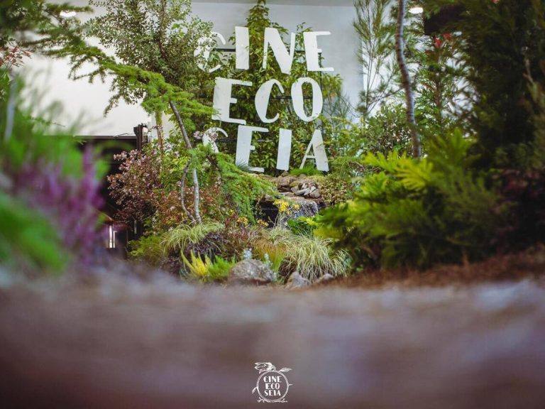 Cineeco 2021 768x576