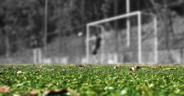 The Soccer Field 5357418 192