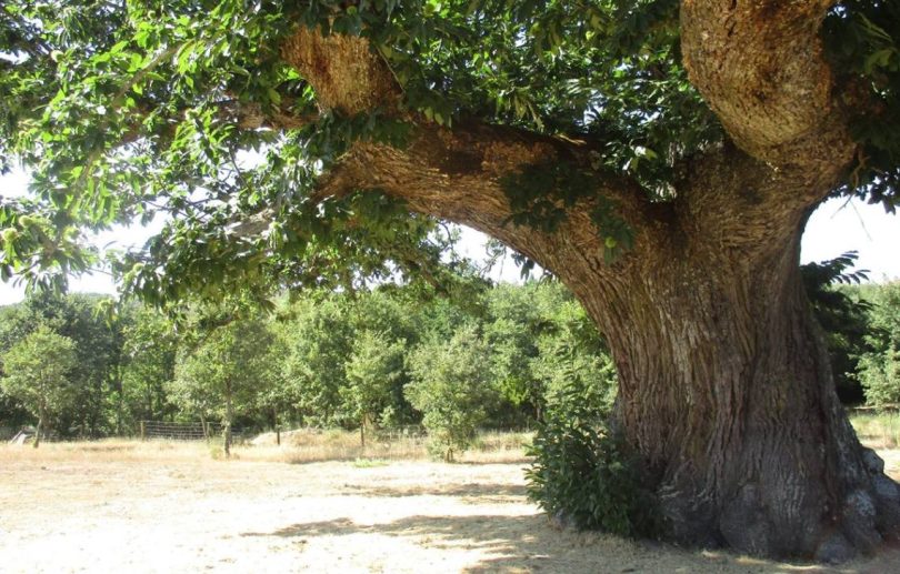 0f306f3b 1ee7 4f40 8cd2 030707d489ca