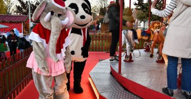 401350092 344295044909231 5622790199684366763 N