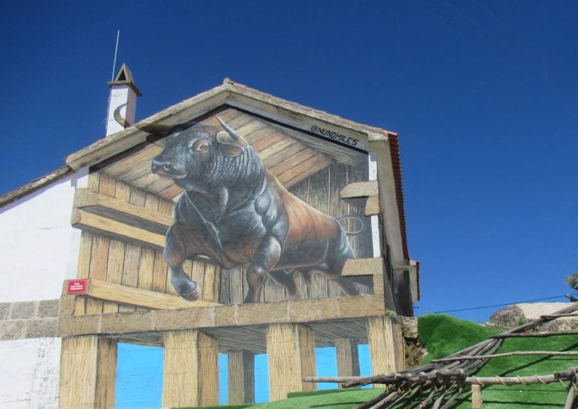 469650936 1366459217973571 4939515040607640517 N