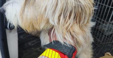 470813271 596224266295558 572313591262536711 N 768x1047