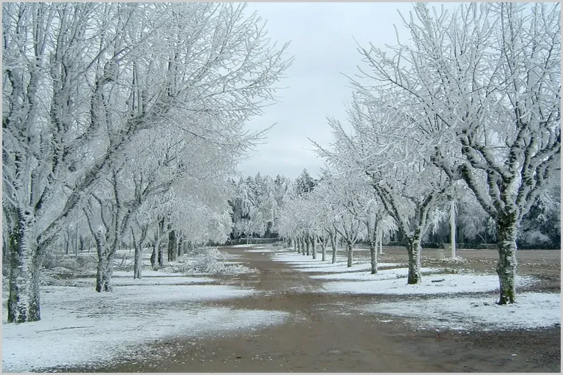 Georginaferro 20240312 Sincelo 1000x666 01