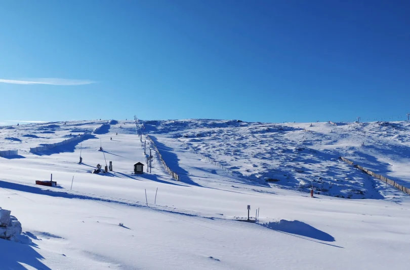 Ws 1657902551565 275853400 2028167857388722 7164302785299747607 N