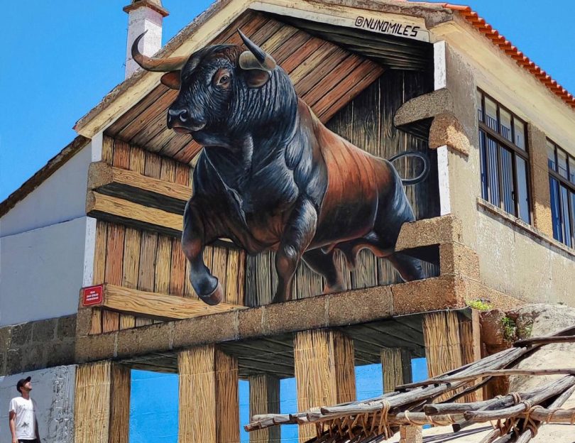 469980600 977215121115803 5411457651190714685 N