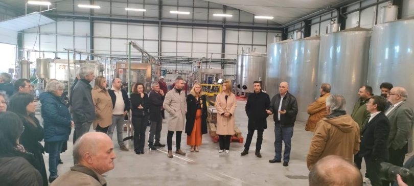 Whatsapp Image 2025 01 31 At 17.21.00 (2)