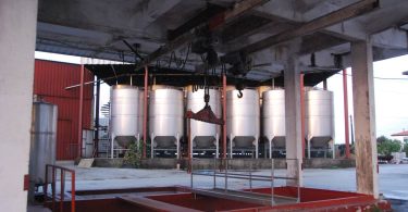 Adega Cooperativa (1)