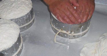 Queijo Gisela Pereira 768x576