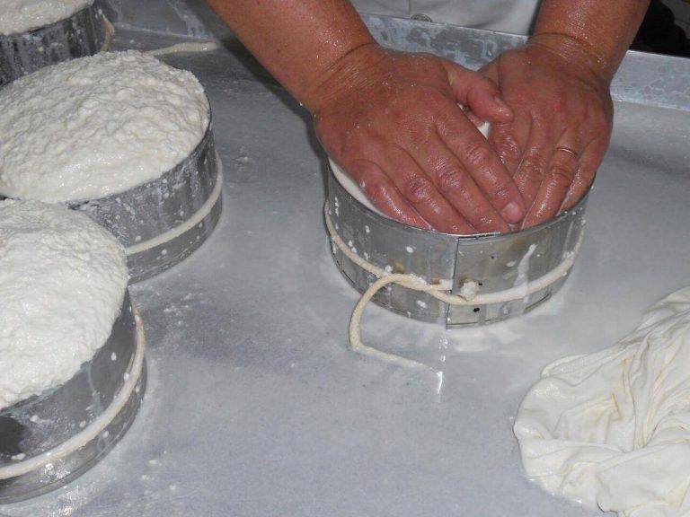 Queijo Gisela Pereira 768x576