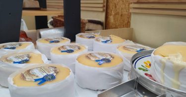 01319fd8 409c 47f3 8344 1a0d774a6885