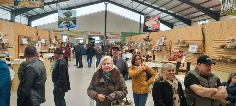 65dc6681 0455 4246 93cf Bceb59513960