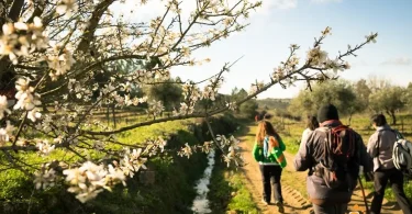 Caminhada Amendoeira Flor 17