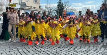 Whatsapp Image 2025 02 28 At 15.18.40 (1)