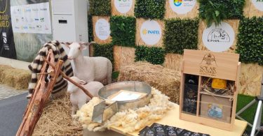 Aab137be 843a 4b50 Aed0 E47323a0e2bc