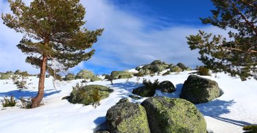 Serra Da Estrela Portugal
