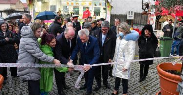 481816225 635204819151584 6266475645562727409 N