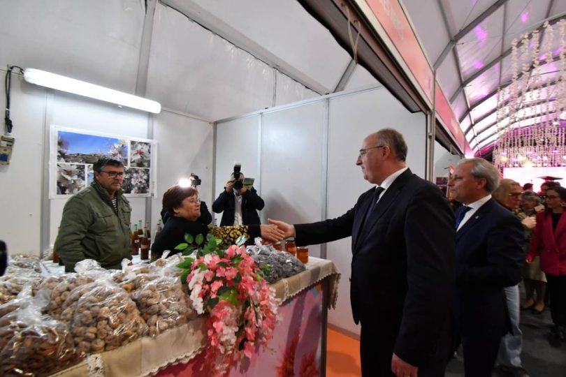 481904656 635208322484567 8400027210282501972 N