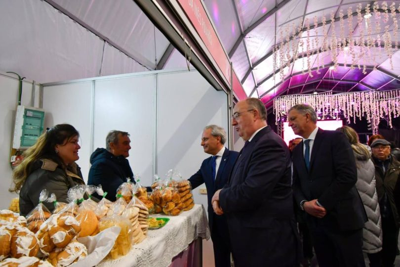 481909372 635204922484907 520895945373674613 N