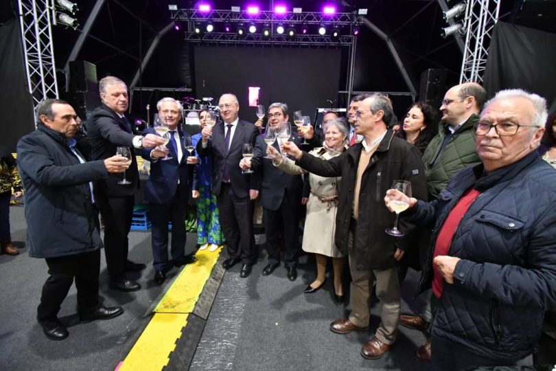 482130882 635209782484421 2794862978152288540 N