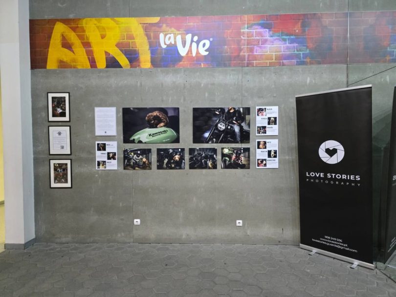 Afe42515 0132 41b1 Bf54 14267ea60bf2