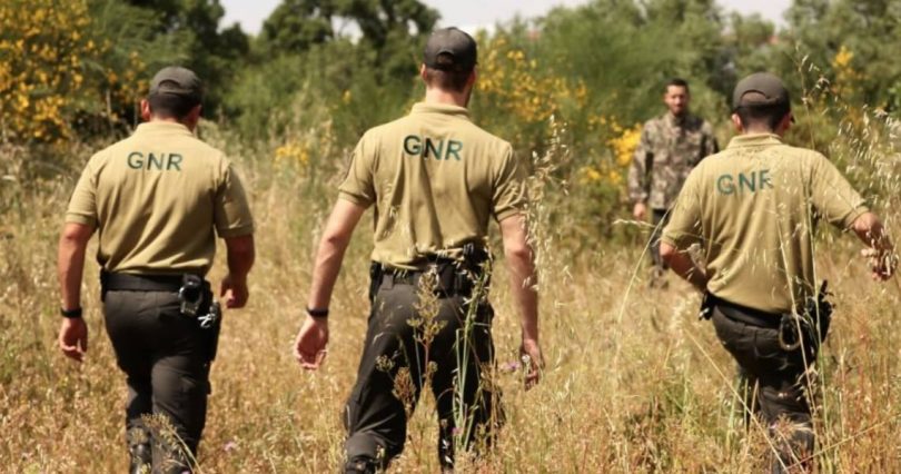 Gnr Floresta Segura 2025