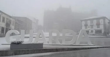 Mw 1200&outputformat=jpeg