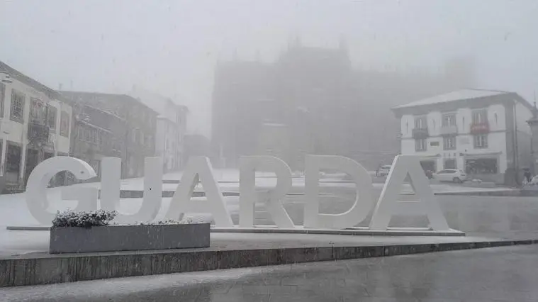 Mw 1200&outputformat=jpeg