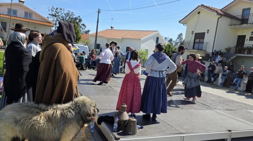 493860634 9849396308436409 1662654762100127413 N