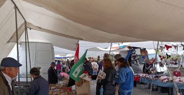 494739552 1486862432599915 7101906497351284122 N