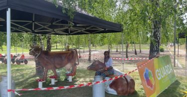 Imagem Whatsapp 2025 05 31 às 15.58.05 3dc6e1dc