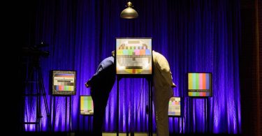 Rottweiler Vs Chihuahua