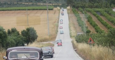 1b6c3365 095b 495d B68b Bf3a1e95191f