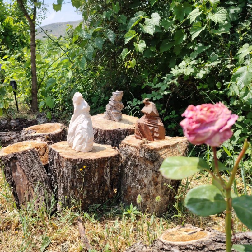 506529019 122179206884328764 105603019354343957 N