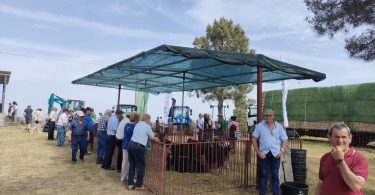 Img20250601102739 (1)