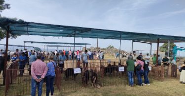 Img20250601102806 (1)