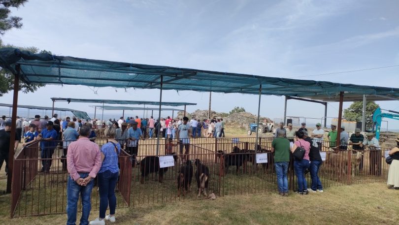 Img20250601102806 (1)