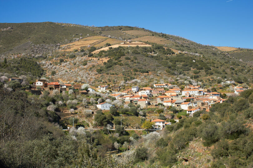 Murça