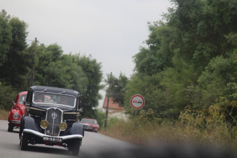 D0726272 76d9 4c31 954e F7023c99412c