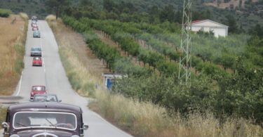 F586fef1 95c2 4784 Bf39 Fe72d7b85b9e