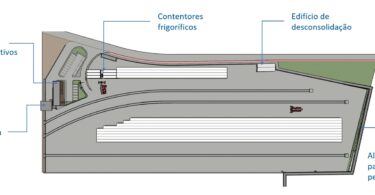 Whatsapp Image 2025 07 09 At 16.25.24