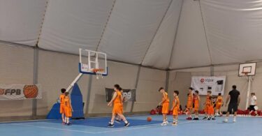 Basquetebol