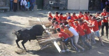 Cropped Capeia Lageosa 768x576