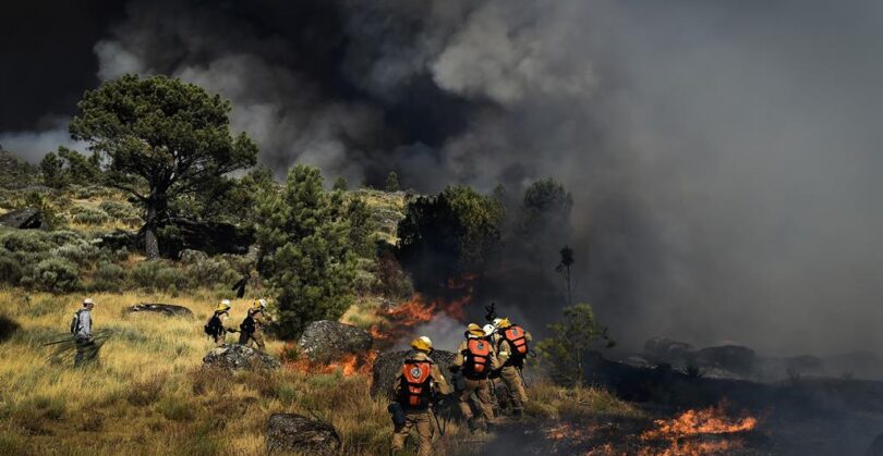 391746181472b858e961defaultlarge 1024