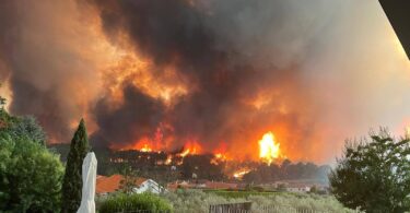 533525437 10224656600396593 8087059432756632851 N