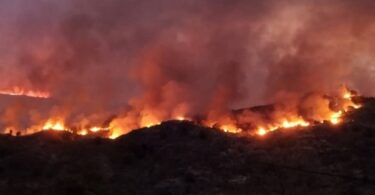 535025817 1066817008898925 7315311776421723115 N