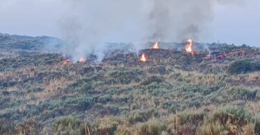 536061969 1164905862329770 9008418647944327564 N