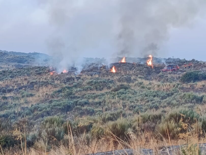 536061969 1164905862329770 9008418647944327564 N